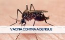 Após aprovação pela Anvisa, OMS também aceita o uso de vacina contra dengue em área endêmica.