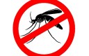 CNM destaca importância do Dia Nacional de Combate ao Mosquito; mobilização acontece nesta sexta, 2.