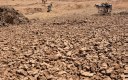 Seca fez Nordeste brasileiro perder 50% de sua produção nos últimos cinco anos, afirma FAO.