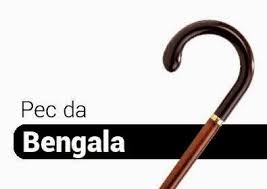 Senado estende PEC da Bengala a todos os servidores.