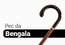 Senado estende PEC da Bengala a todos os servidores.