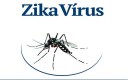 Surto de zika no Brasil completa um ano: uma doença obscura virou uma emergência de saúde global.